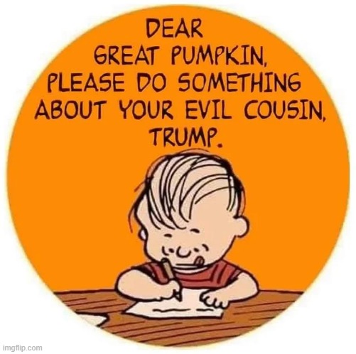 44137
