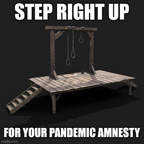 44276