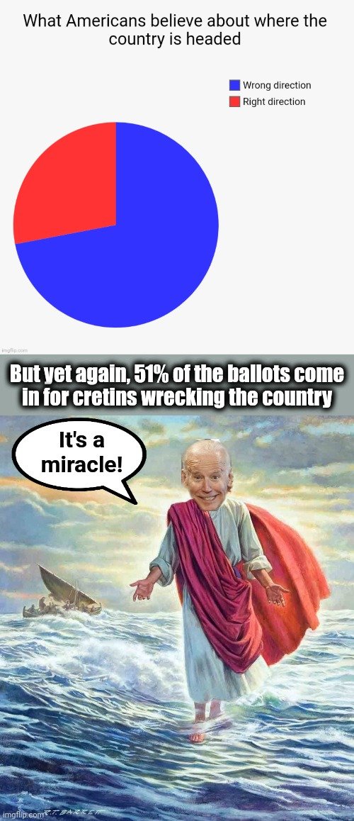 44462