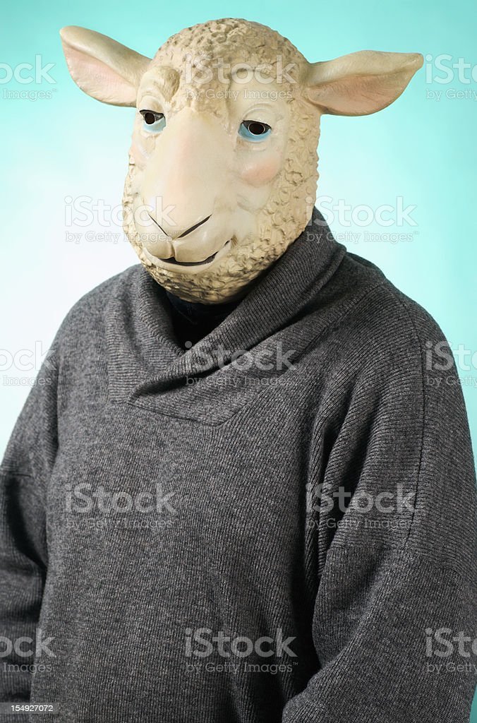 71DF9F62-655C-4665-ABD6-C8E285A1C4CE.jpeg