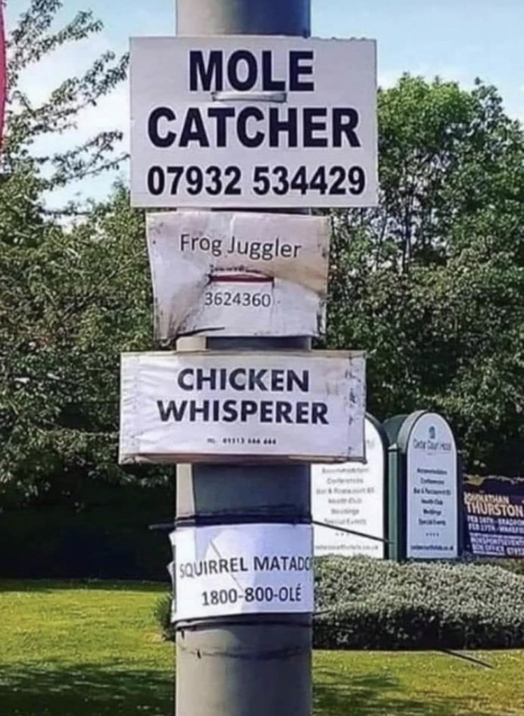 29503