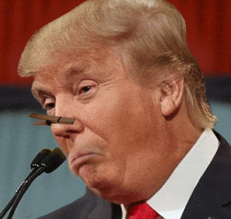 762ce65ebcdeabe817c0a8c435c982bb8d2aa96ad52dbcb06da46310416b806b_1.gif.gif.gif