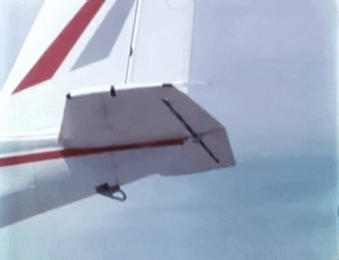 790F0531-3CFD-495E-AA39-484527C6486B.gif