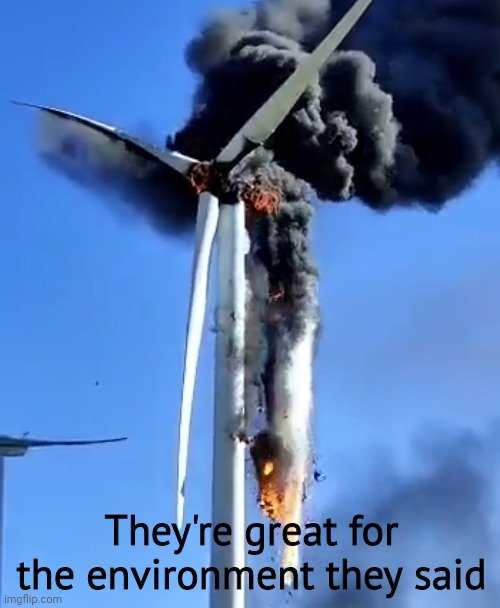 7vo18v.jpg
