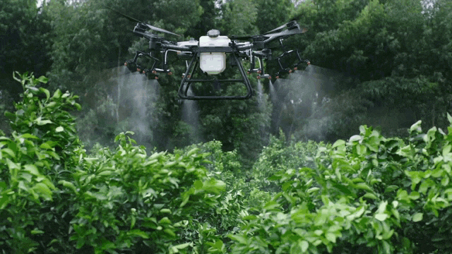 81AD2FB0-874B-4D4D-AC4E-968627466AD7.gif