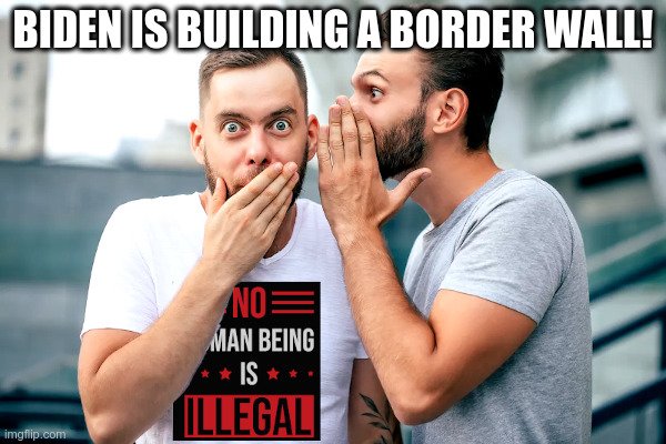 81lr72.jpg