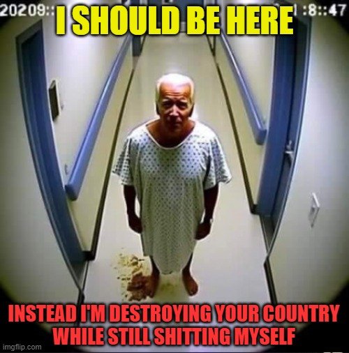 82e5ne.jpg