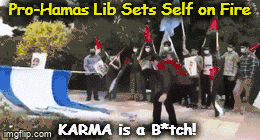 82h06a.gif