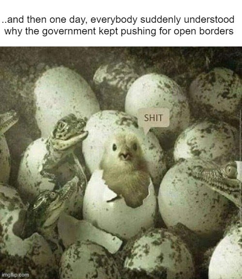 82ljsp.jpg