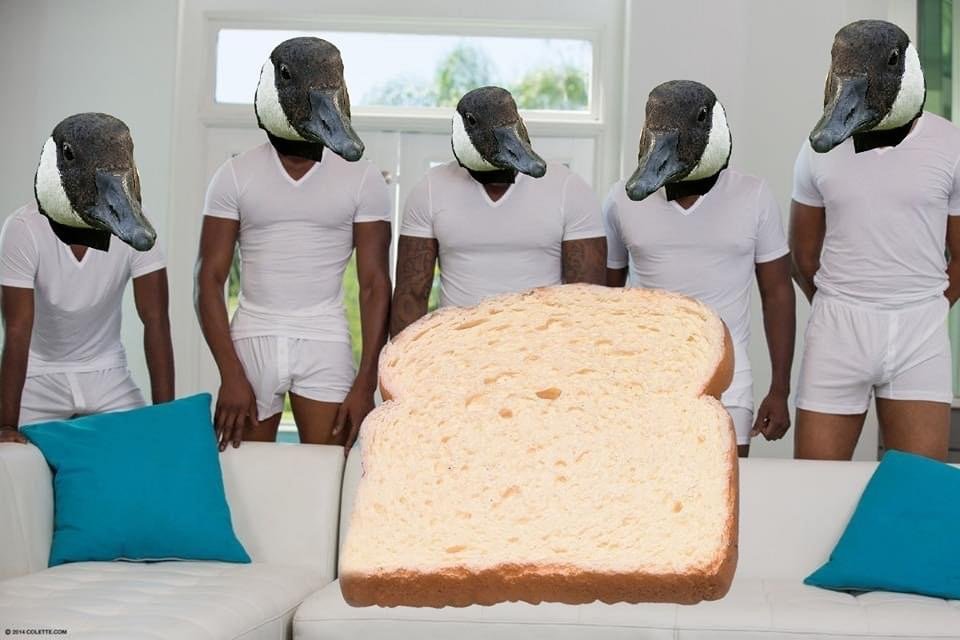 38339