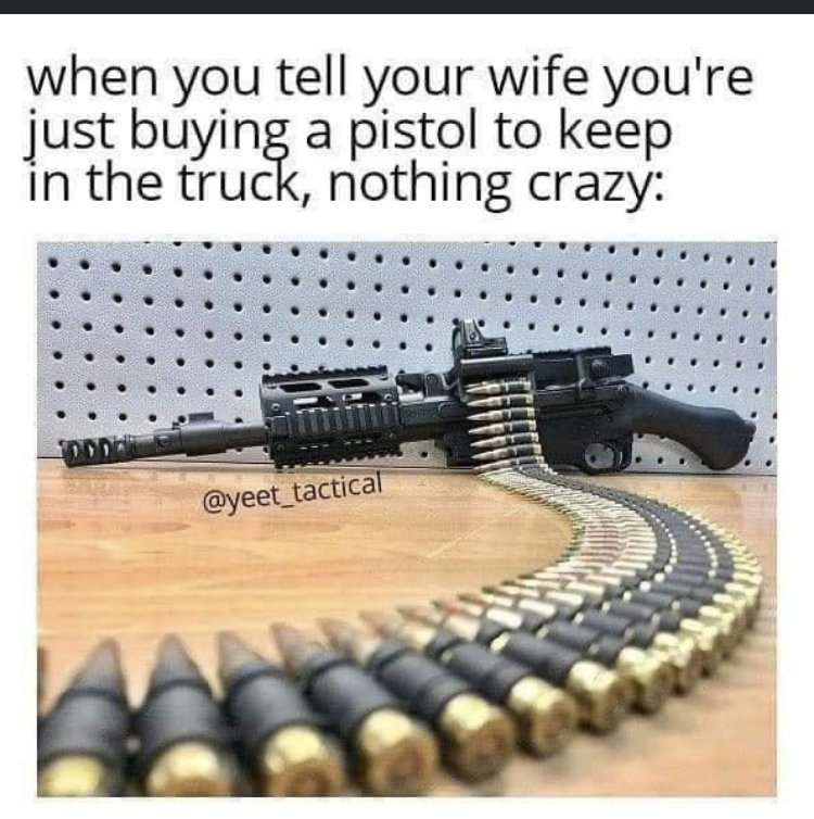 29033