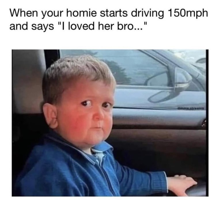 33833