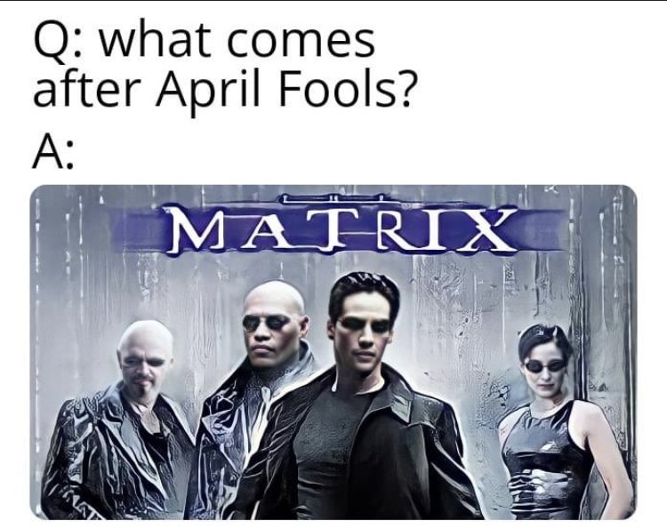 34406