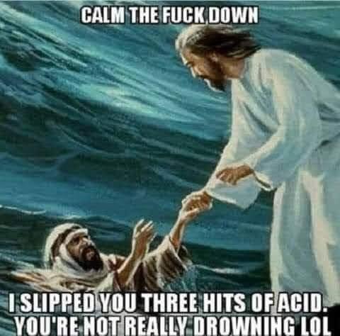 41004