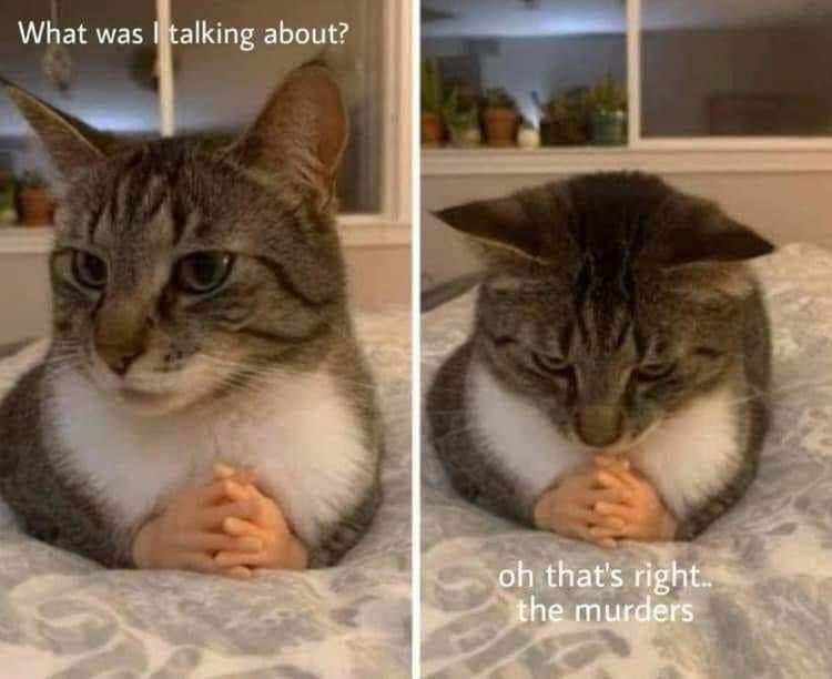 39206