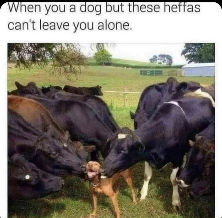 30259