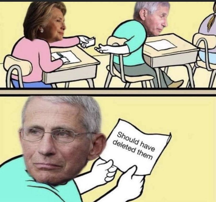 29547