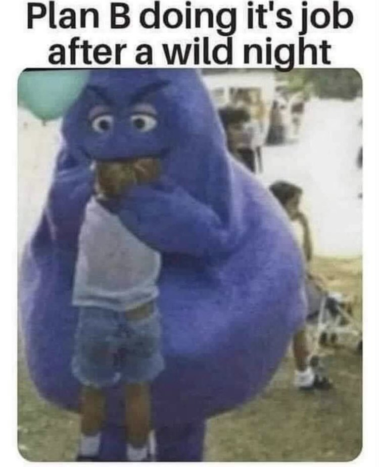 29494