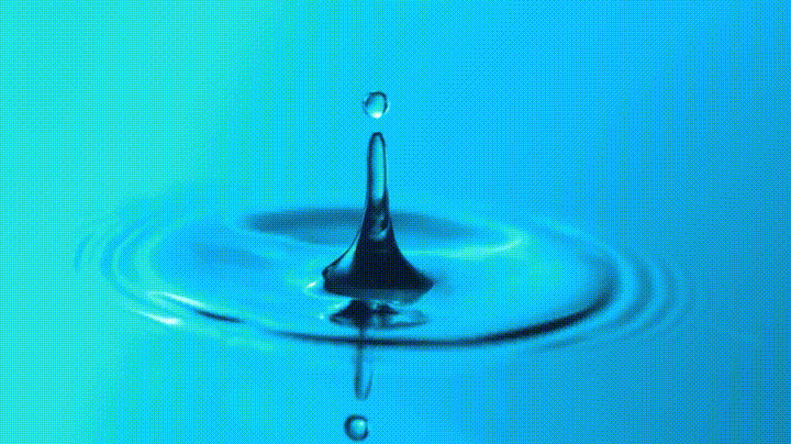 9D496280-63D4-4C0C-9ECA-0FAD9C0956B5.gif