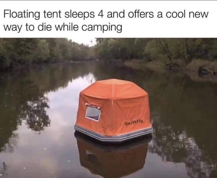 29491