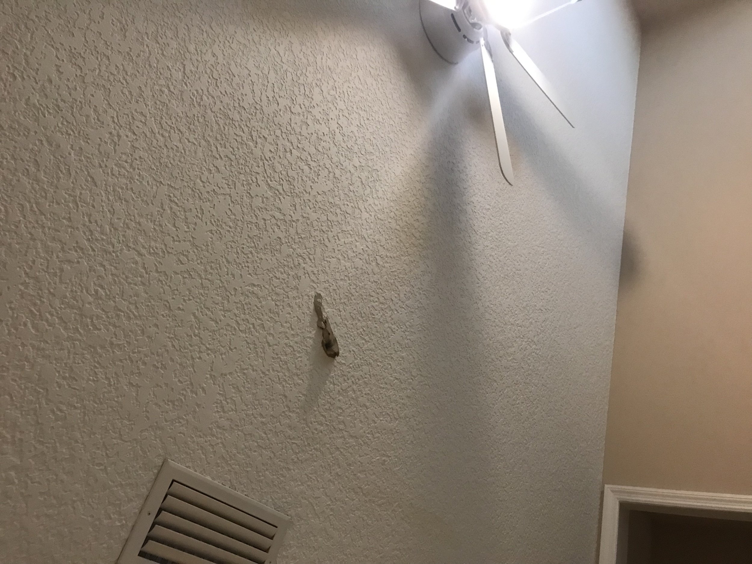 A0F2CCFF-B0EE-4145-AFDC-36999984FCFB.jpeg