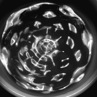 A24D2137-E086-447E-BCAF-7B7C2C8A8128.gif