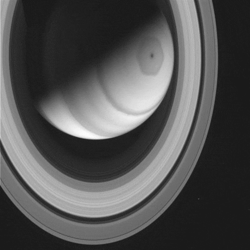 A38BE4FB-2EA3-42EB-88C4-697F876B3021.gif