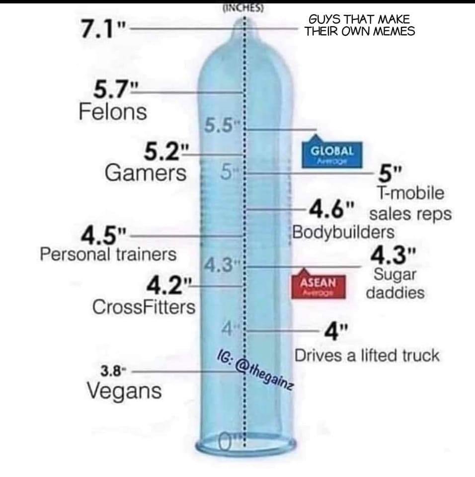45568