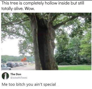 27489