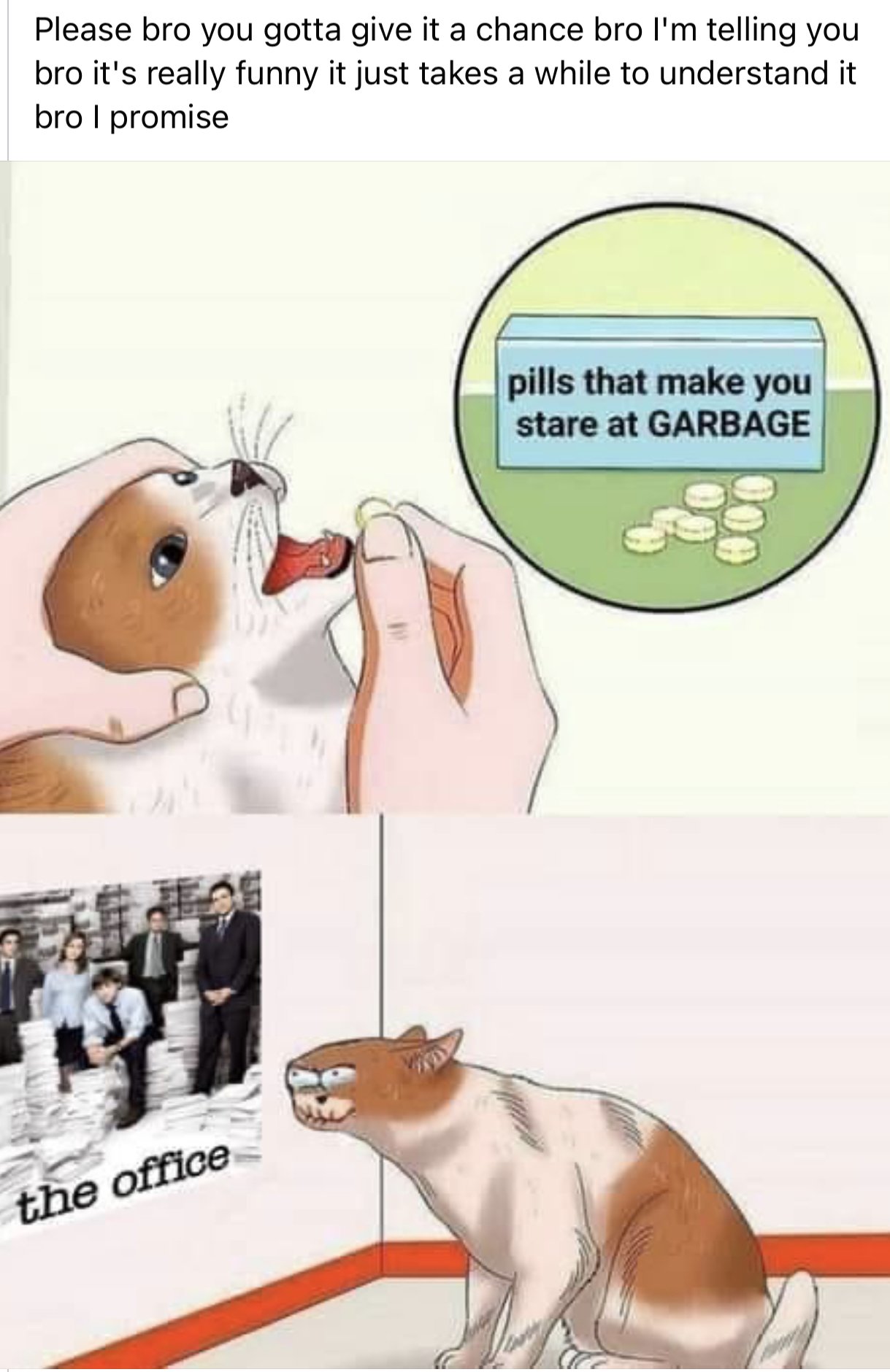 46177