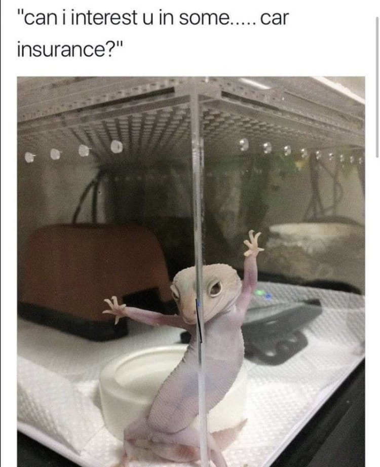 32123