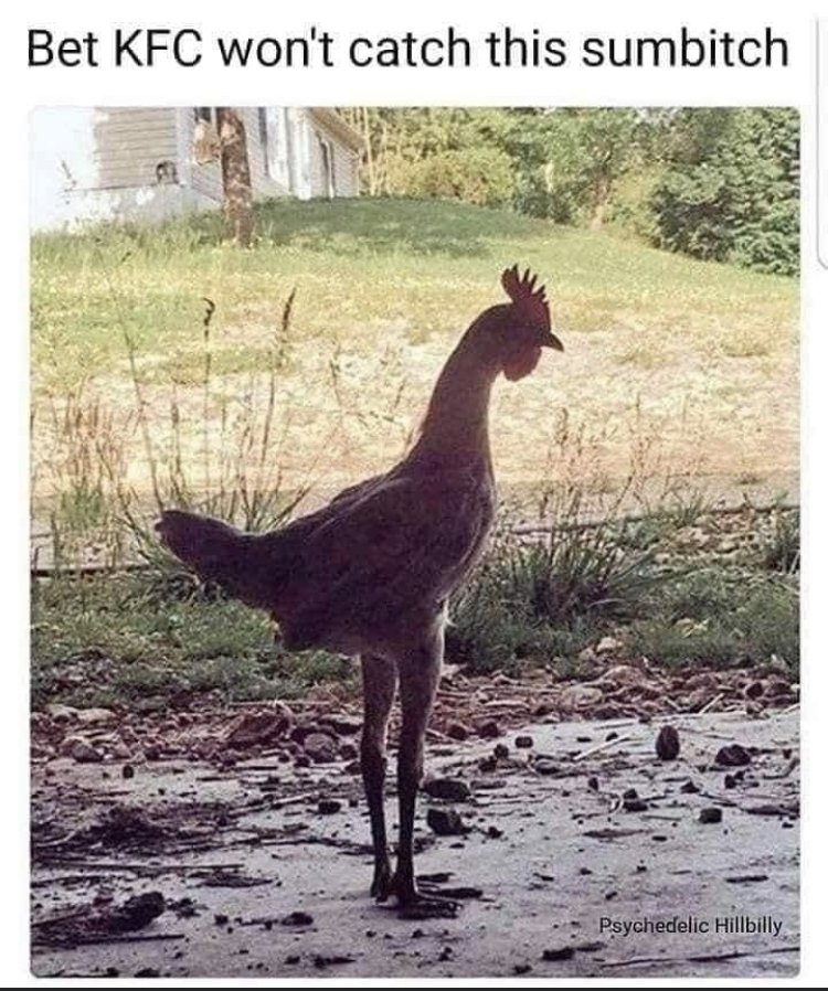 30225