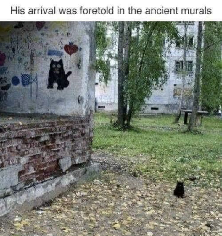 30285