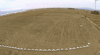 B5058E01-1B91-48AD-9B4E-252C65B41A55.gif