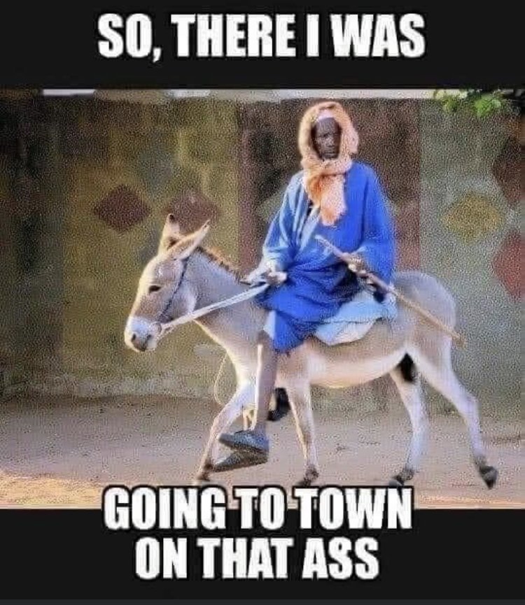 29269