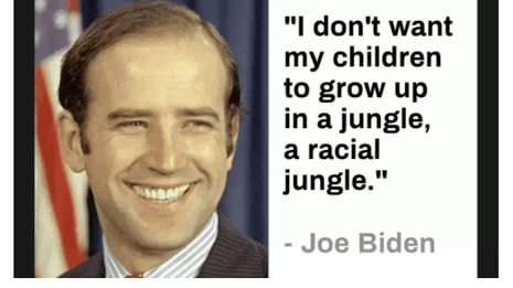 biden-jungle.png