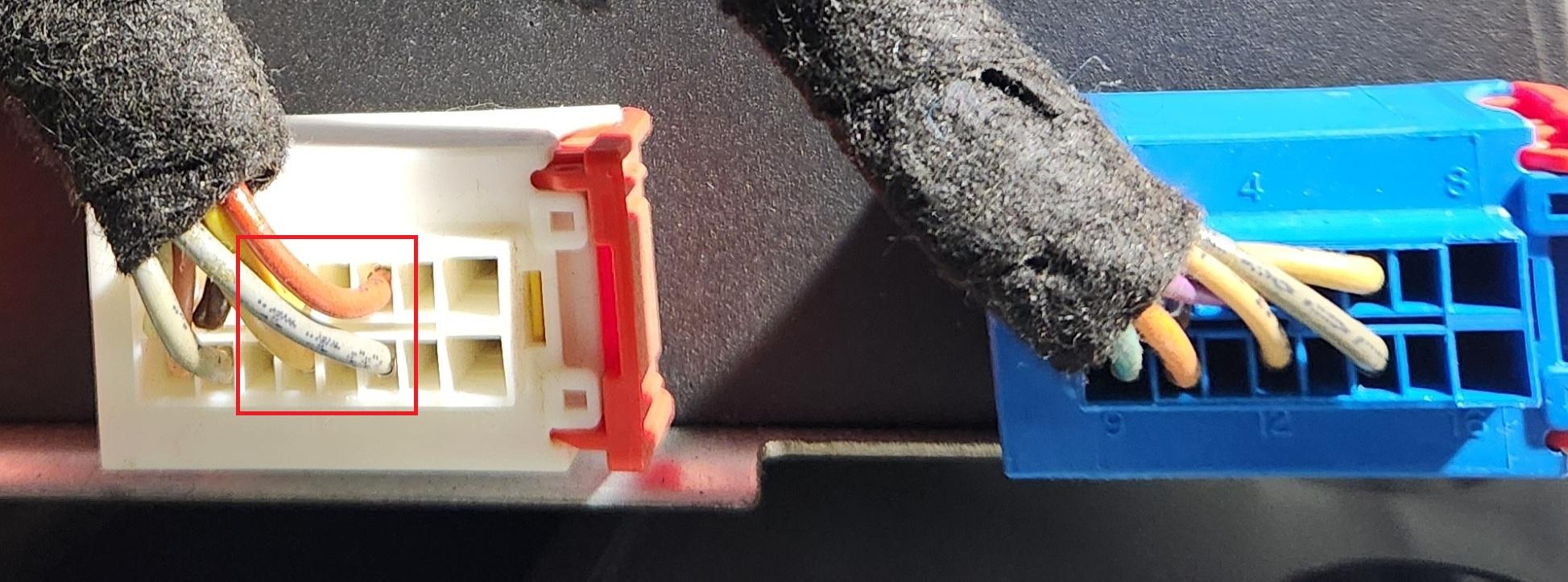 Blue-White amp plugs.jpg