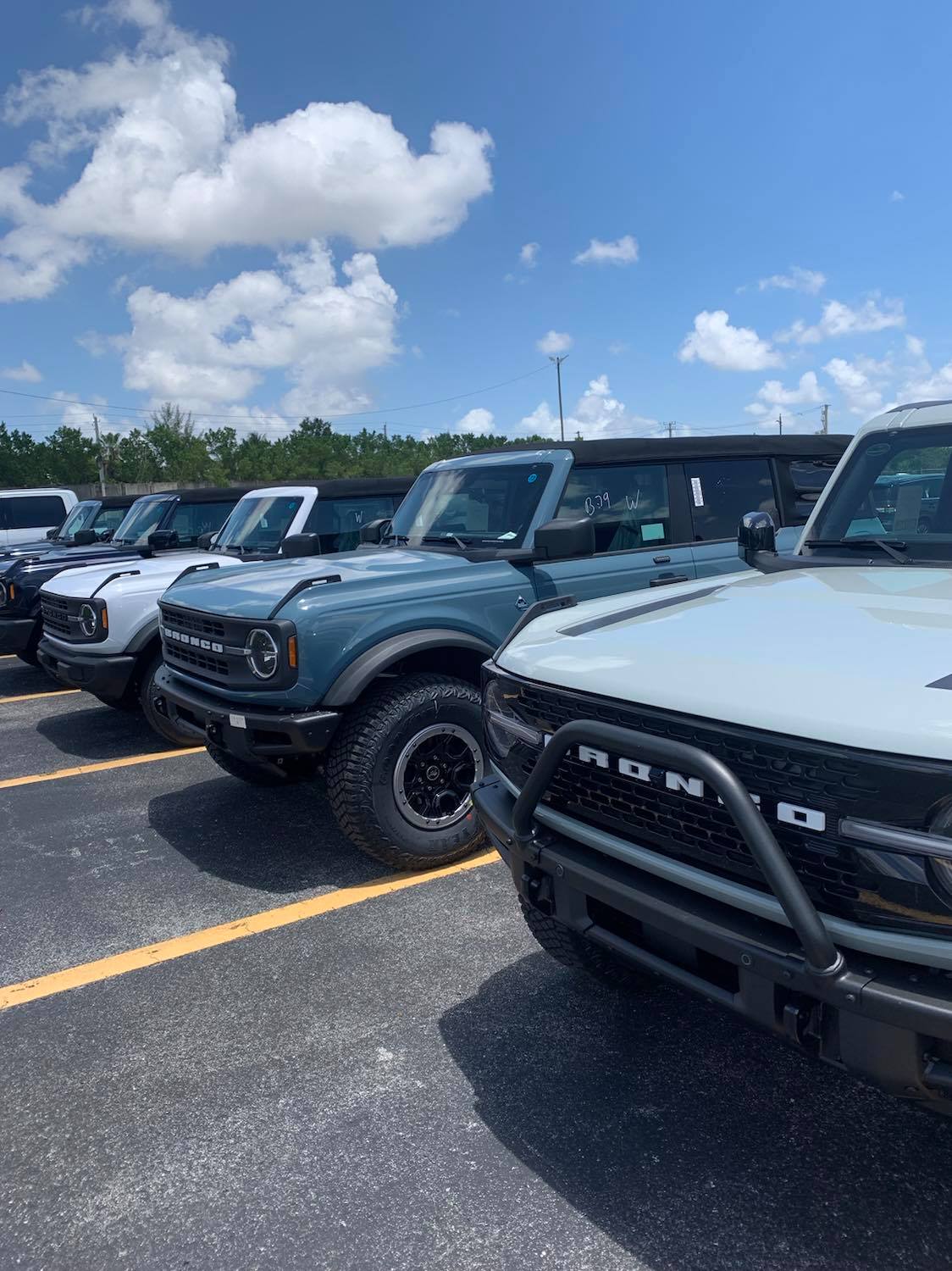 bronco1.jpg