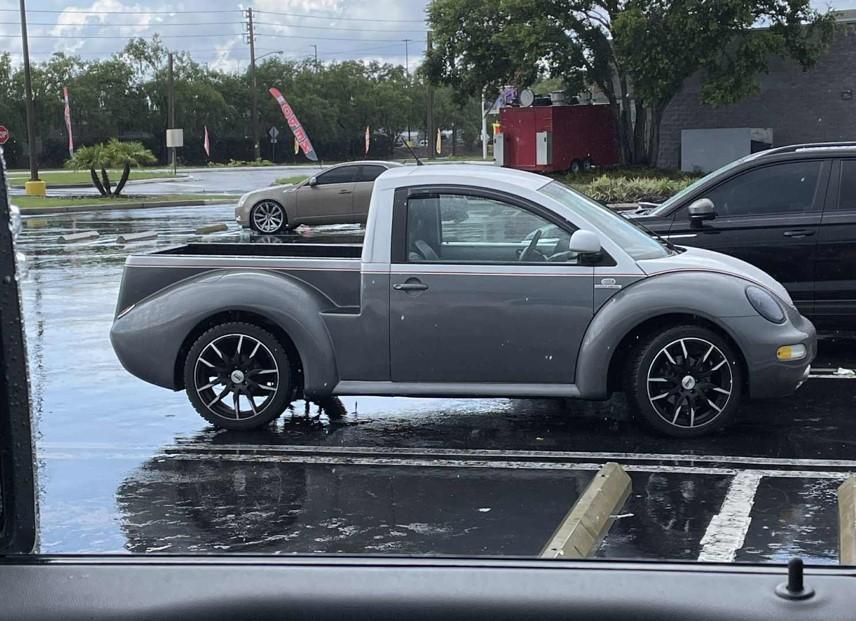 bug.jpg