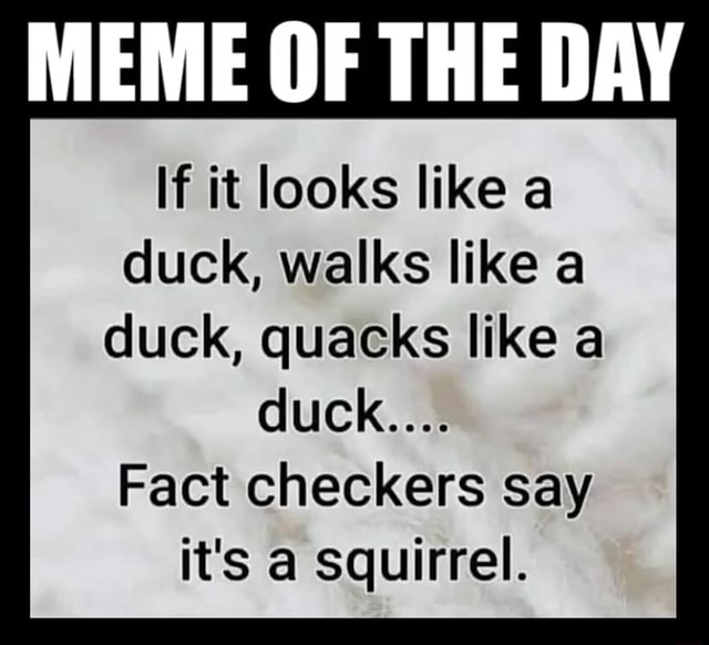 36593