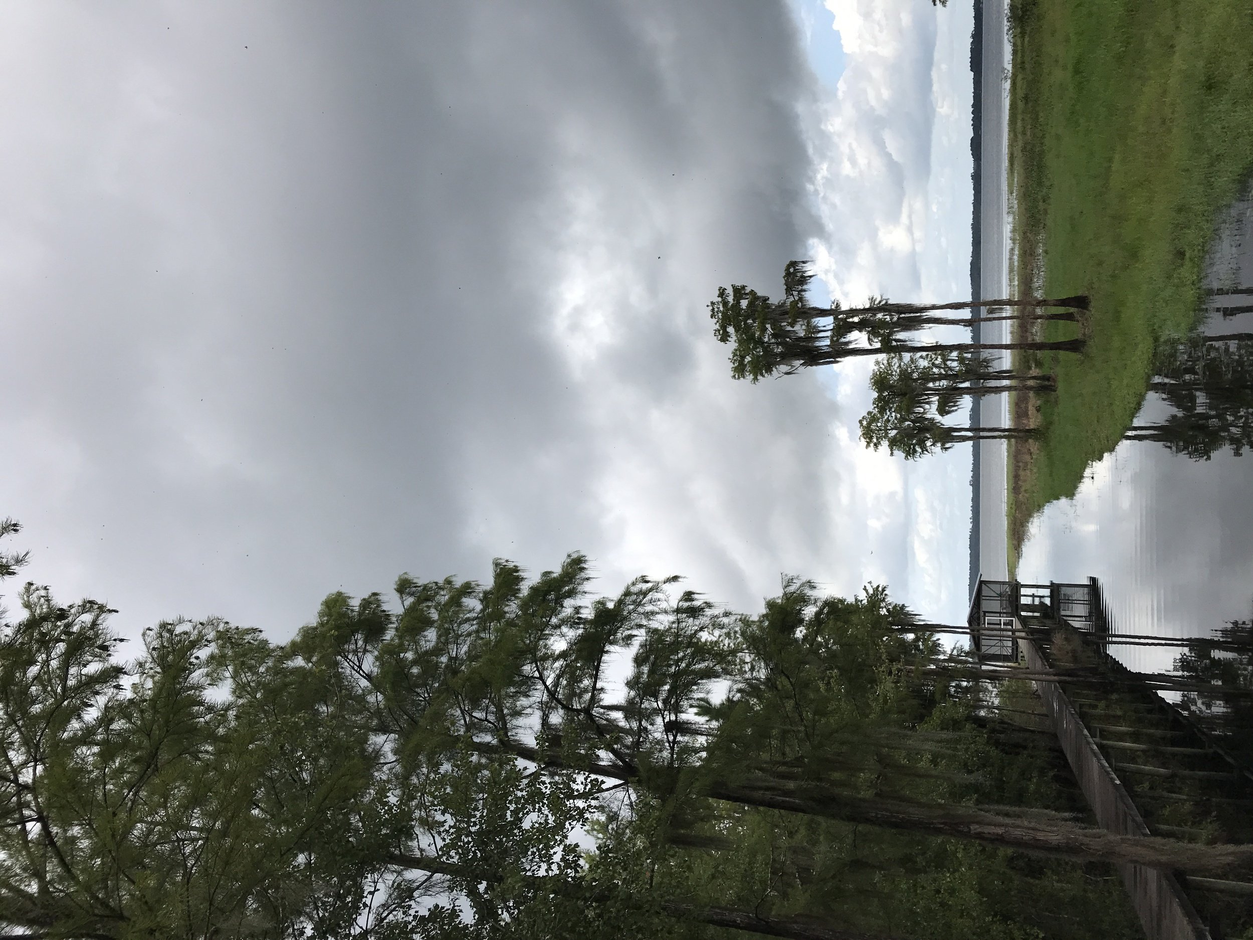 C461AD79-967F-4E55-AF06-7984C1BDA0C1.jpeg