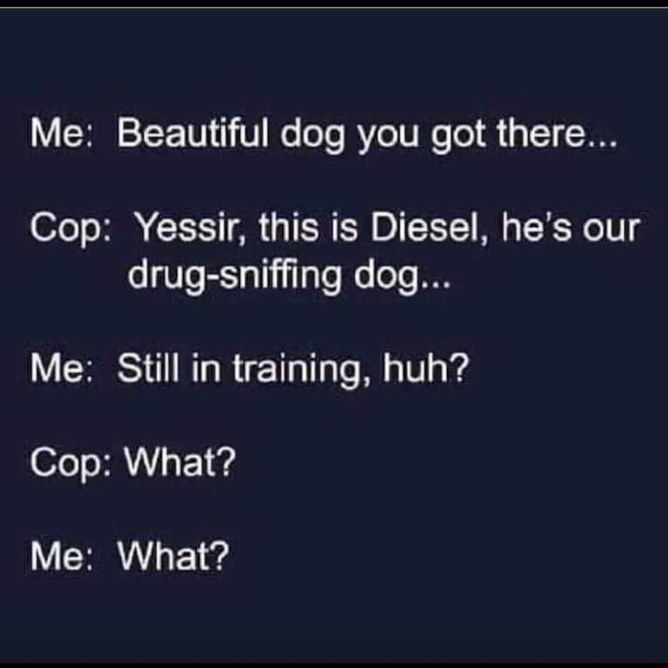 44034