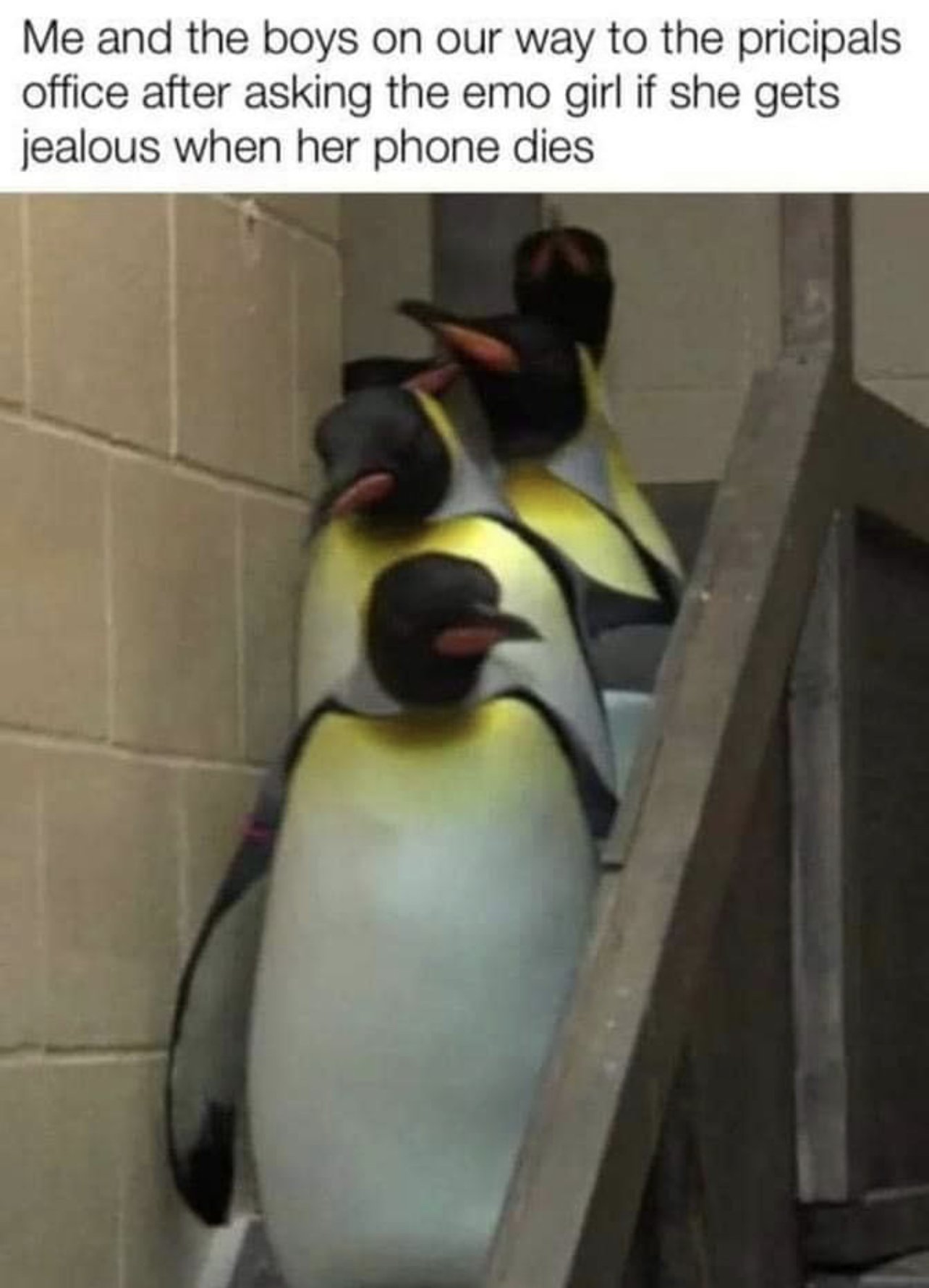 35597