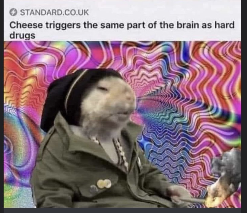 D0D14AD2-9495-4F8A-9947-8118D038CD08.jpeg