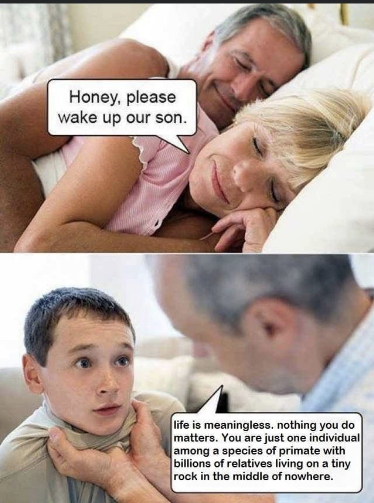 31446