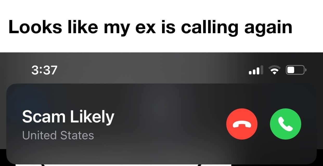 44084