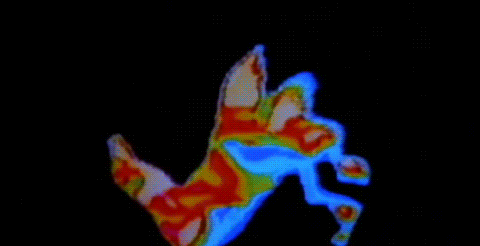 D8F6101A-91A0-4C03-8A09-F787B0F860C7.gif