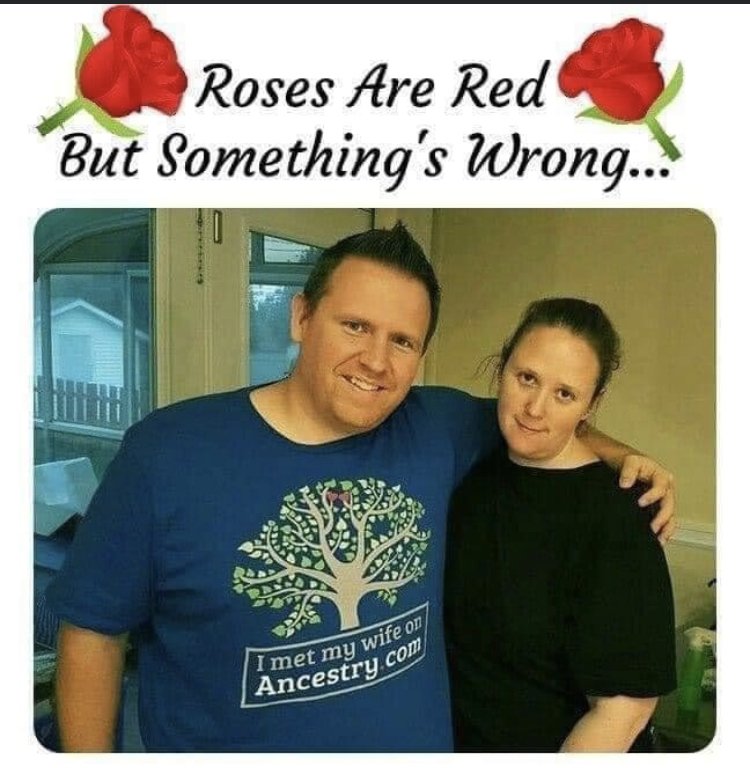 26695