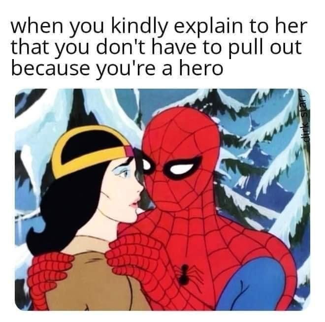 42446