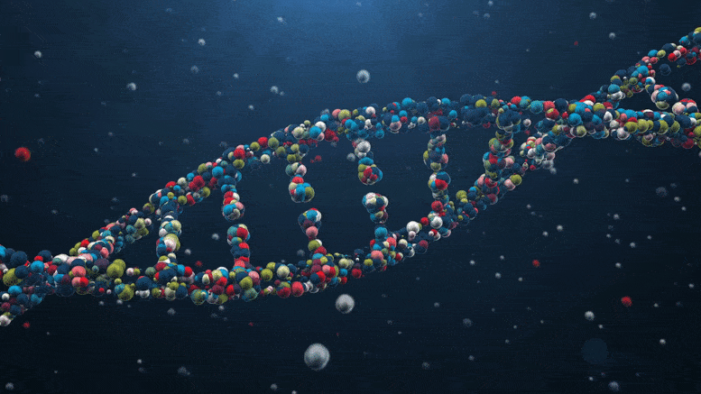 dna2.gif